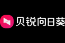 向日葵远程控制